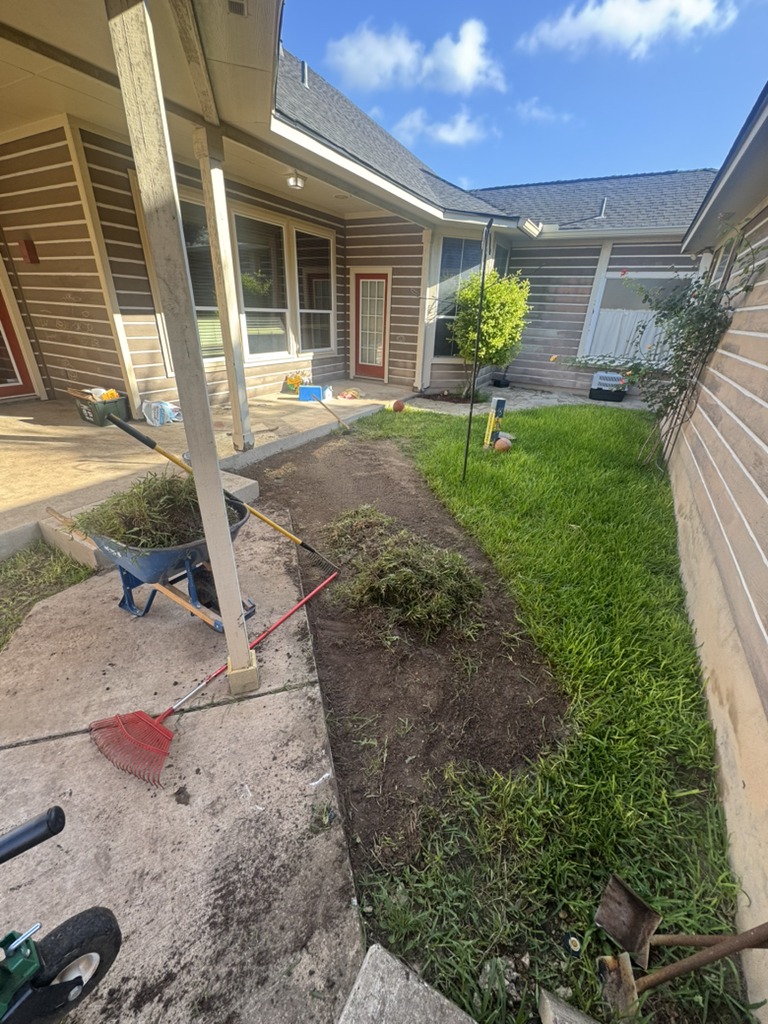 Unkempt property requiring major brush clearing and debris removal. (Before image)