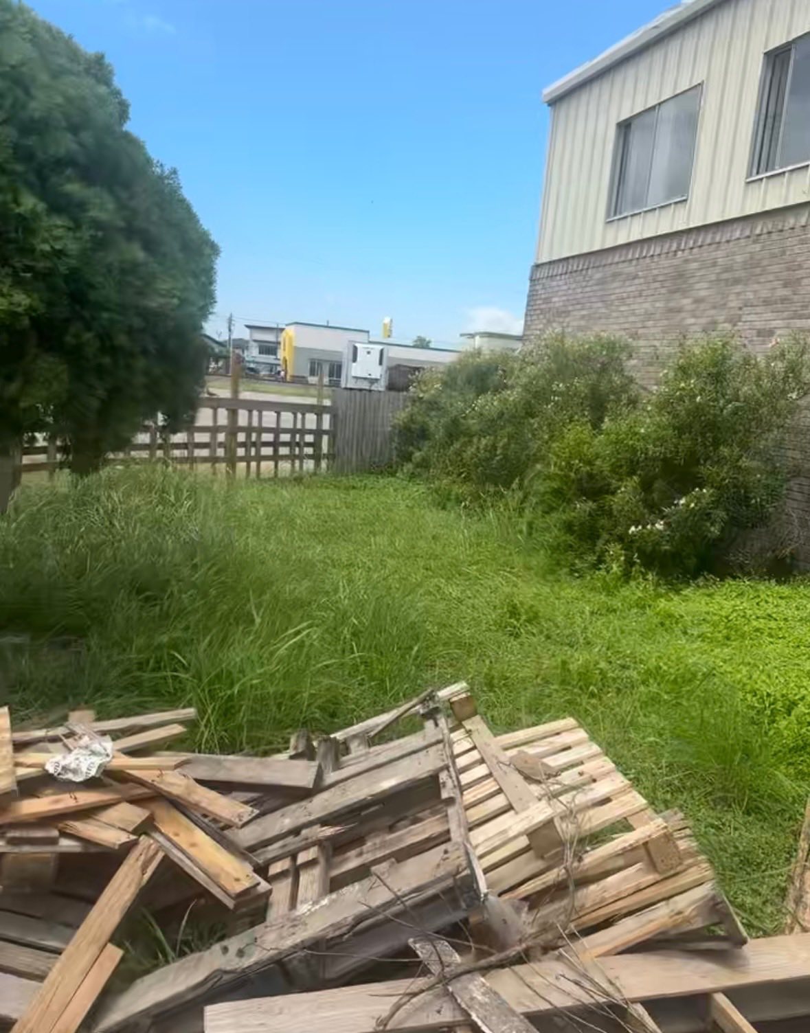 Full-service lawn care showcasing crisp edging and line trimming.