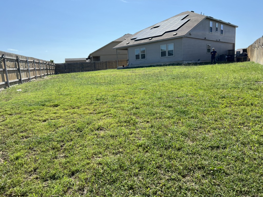 Full-service lawn care showcasing crisp edging and line trimming.