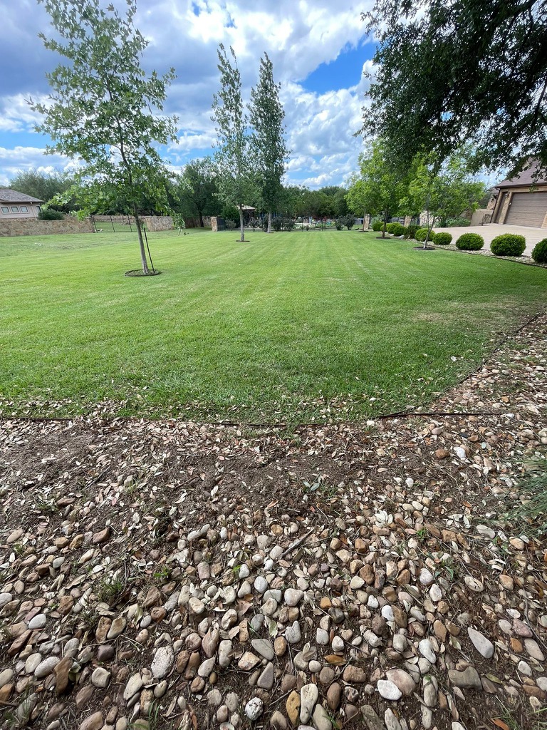 Targeted Weed Control application for a residential yard in Georgetown, TX.