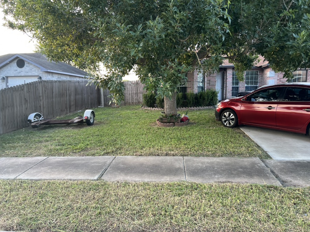 Severely overgrown yard and bushes requiring major cleanup and brush removal. (after image)