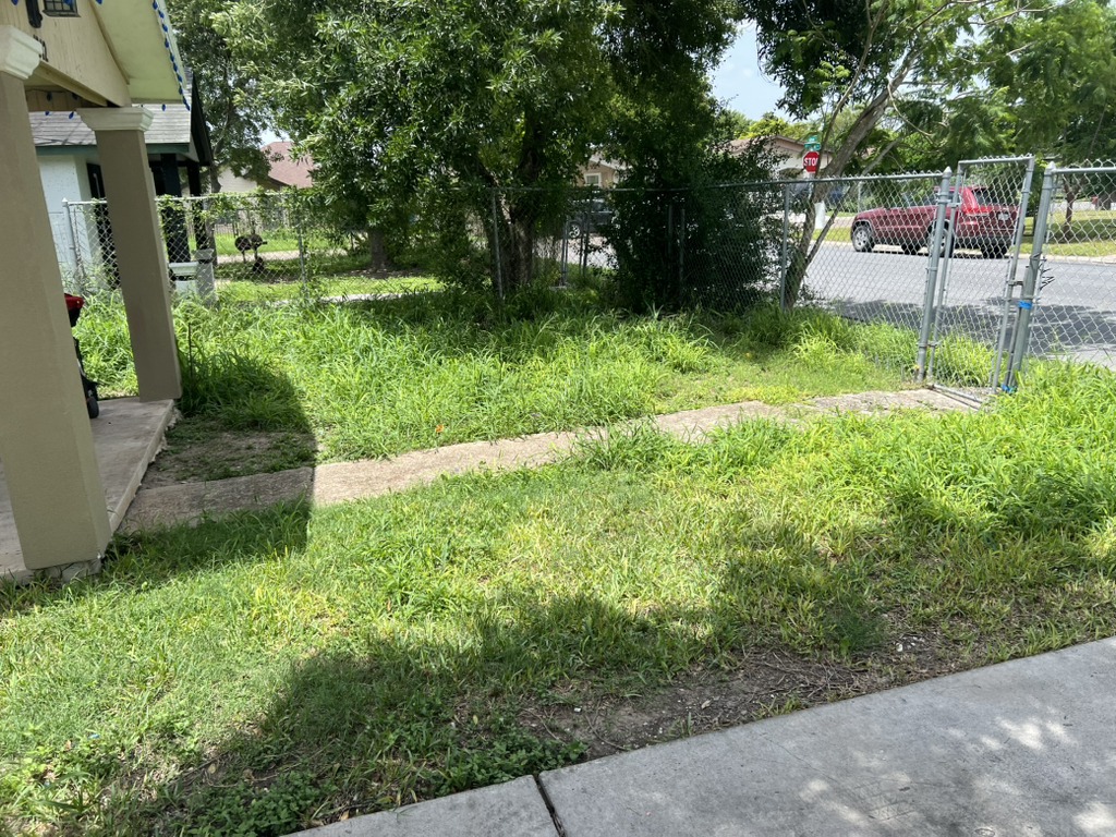 Before photo of a lawn restoration project, front view, in Georgetown.