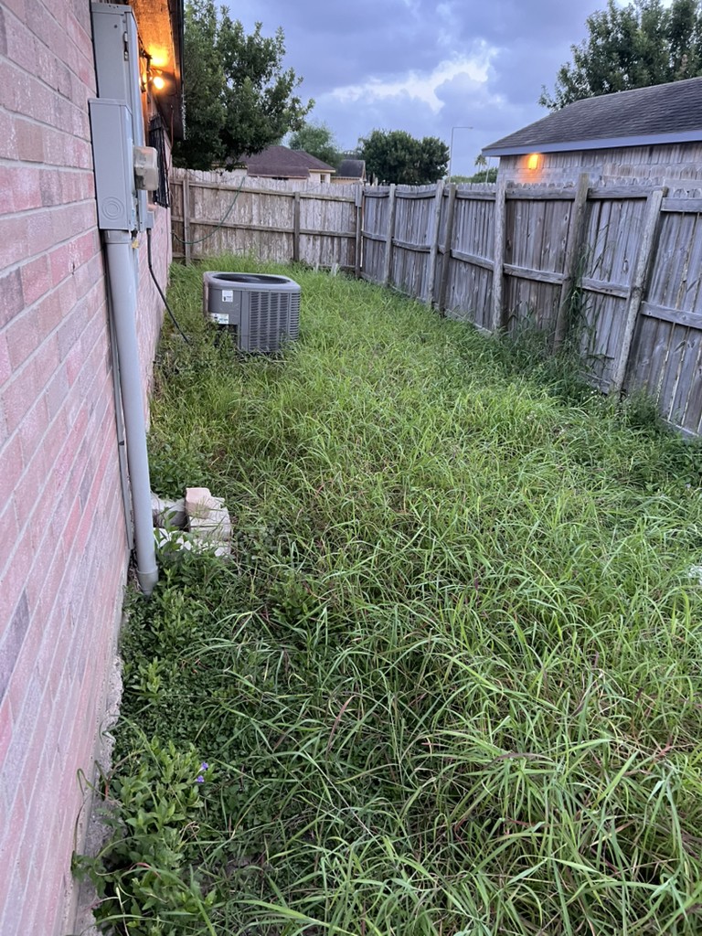 Overgrown backyard requiring major cleanup and shaping (Before Image).