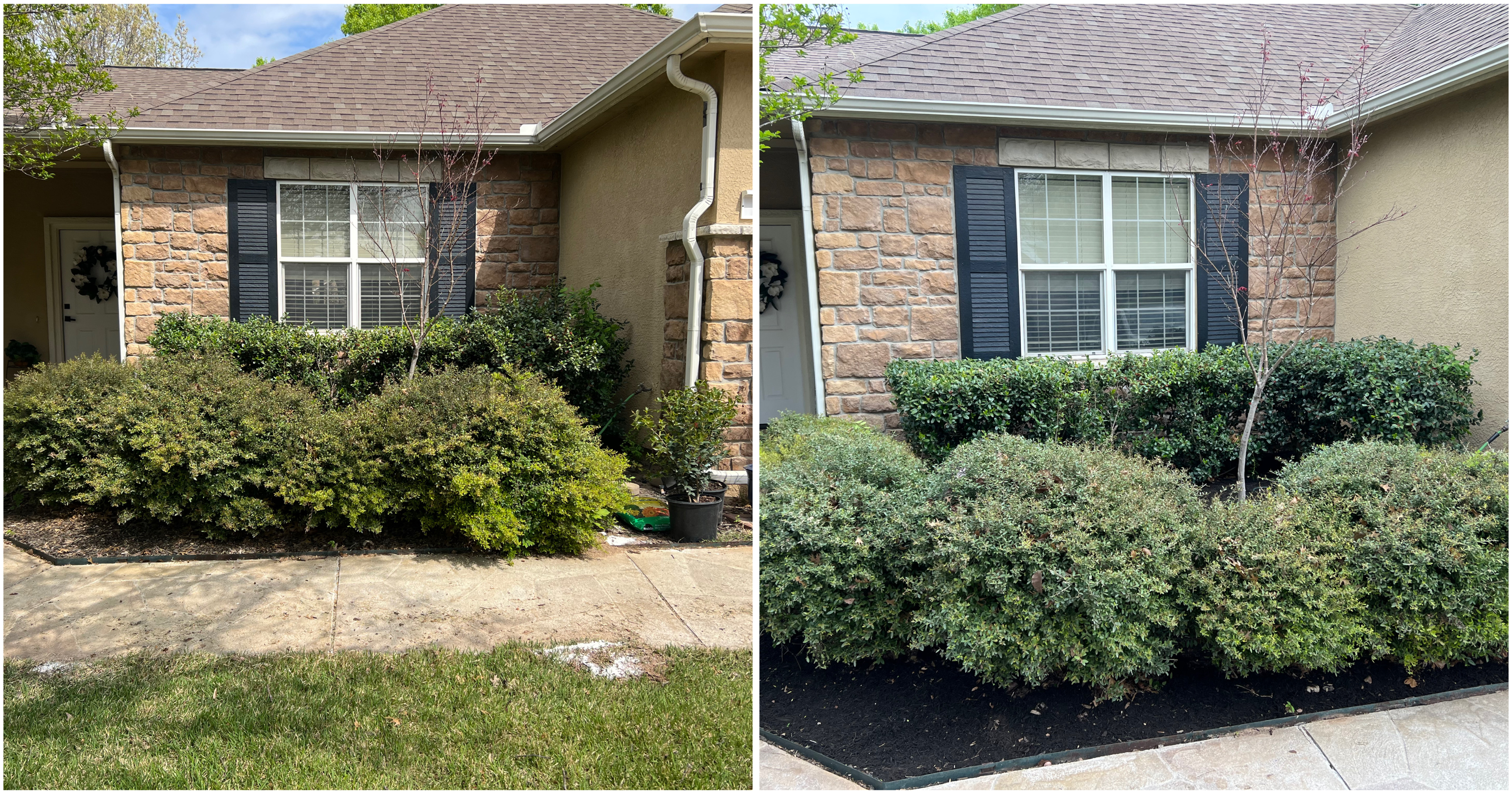 Recent lawn maintenance project.