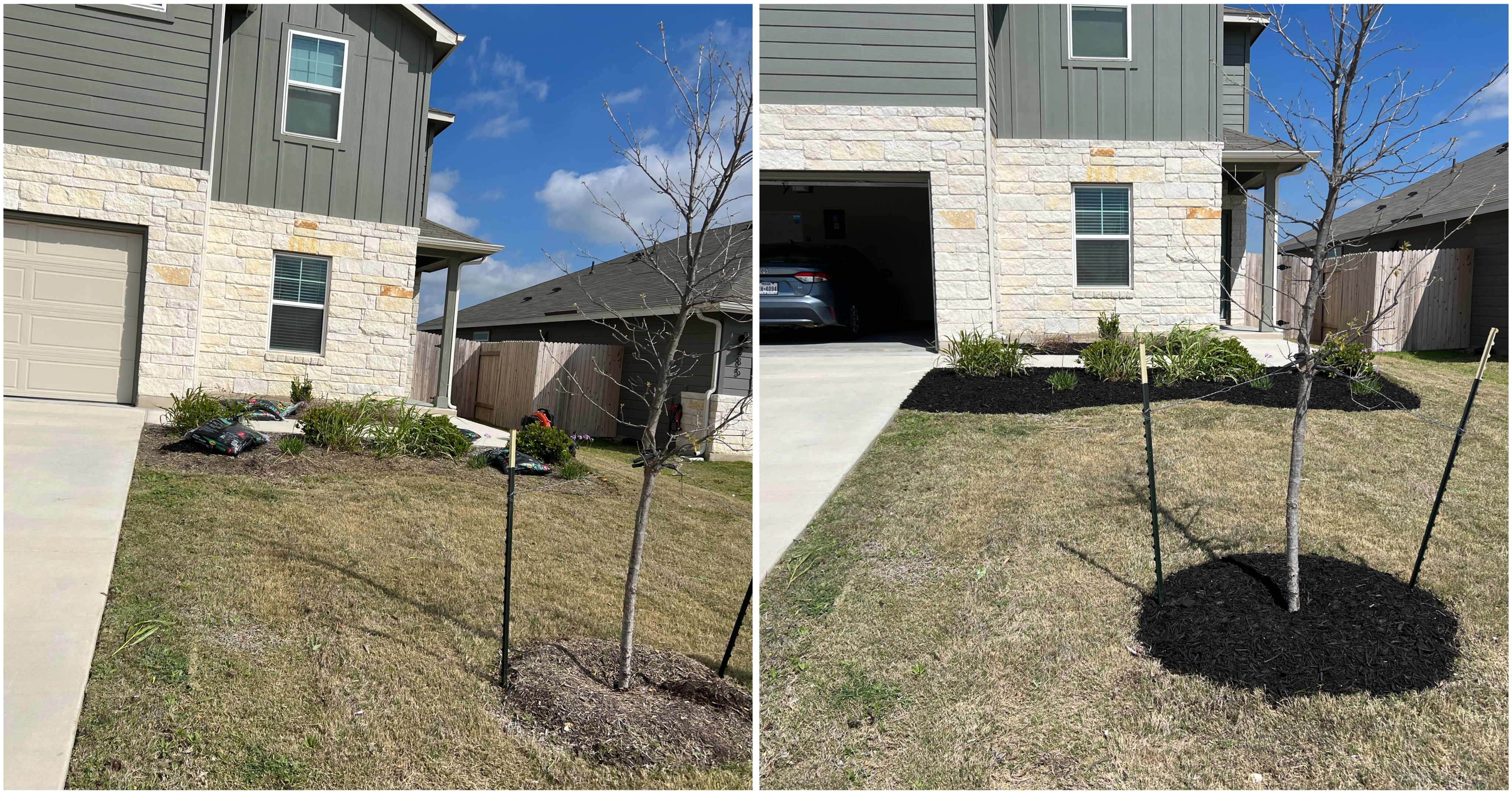 Recent lawn maintenance project.
