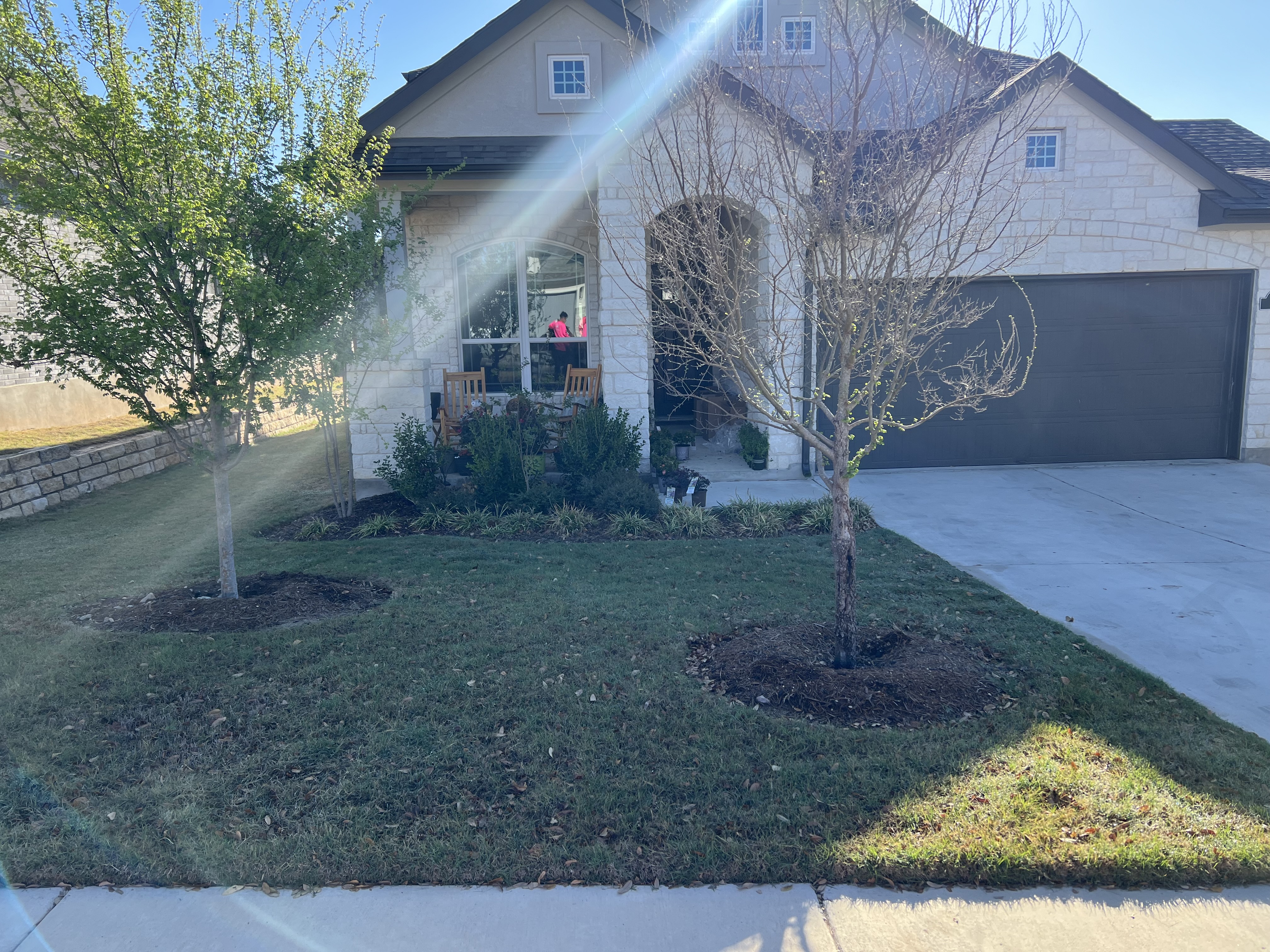 Recent lawn maintenance project.