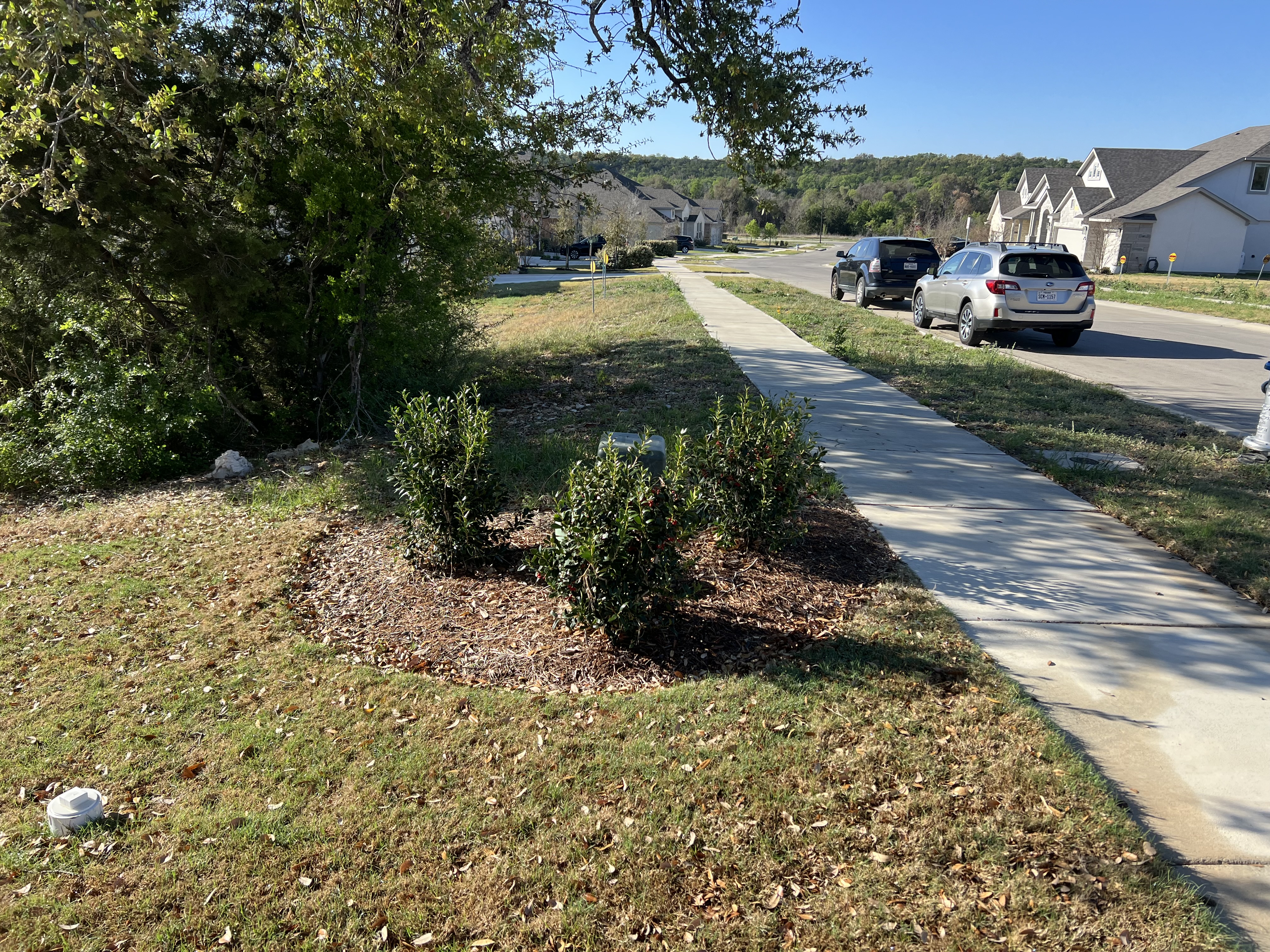 Recent lawn maintenance project.