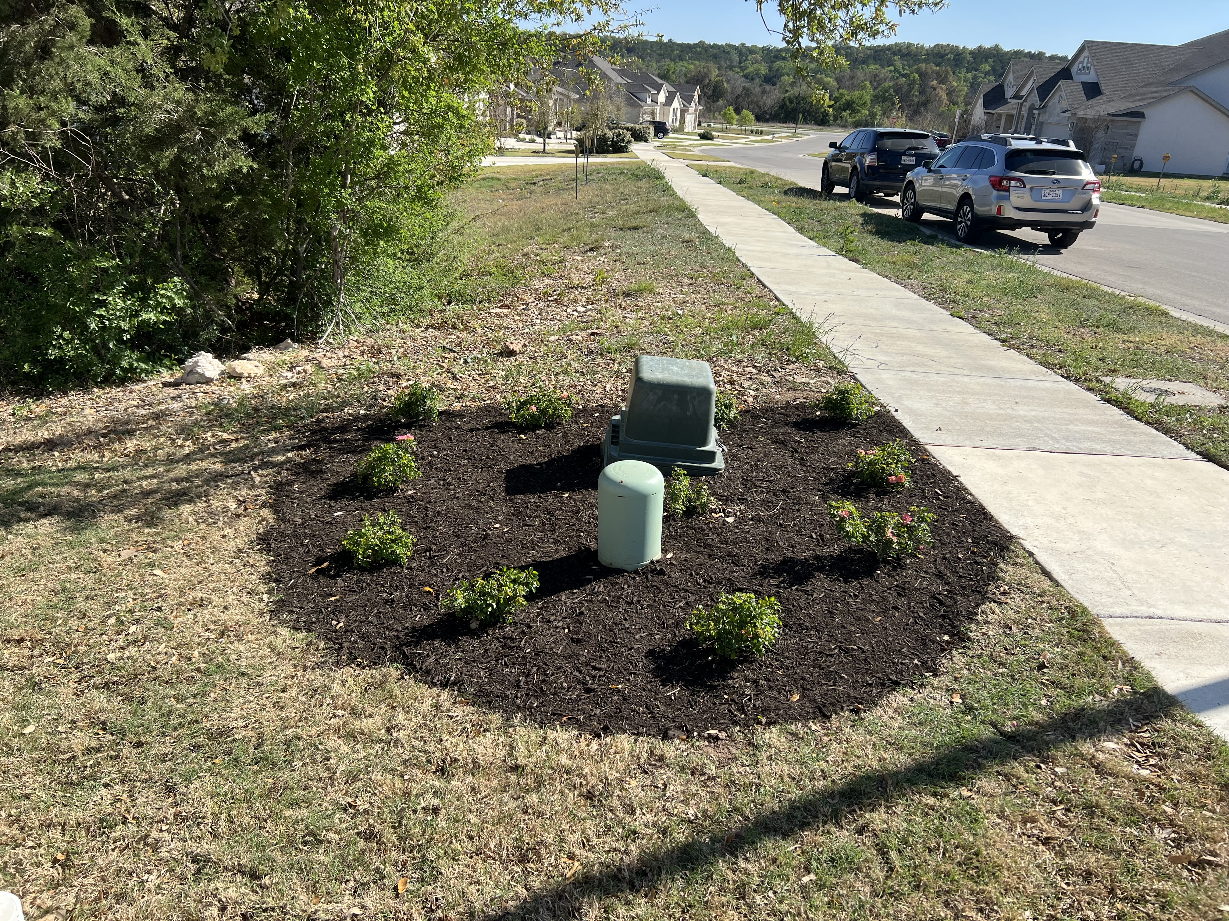 Recent lawn maintenance project.