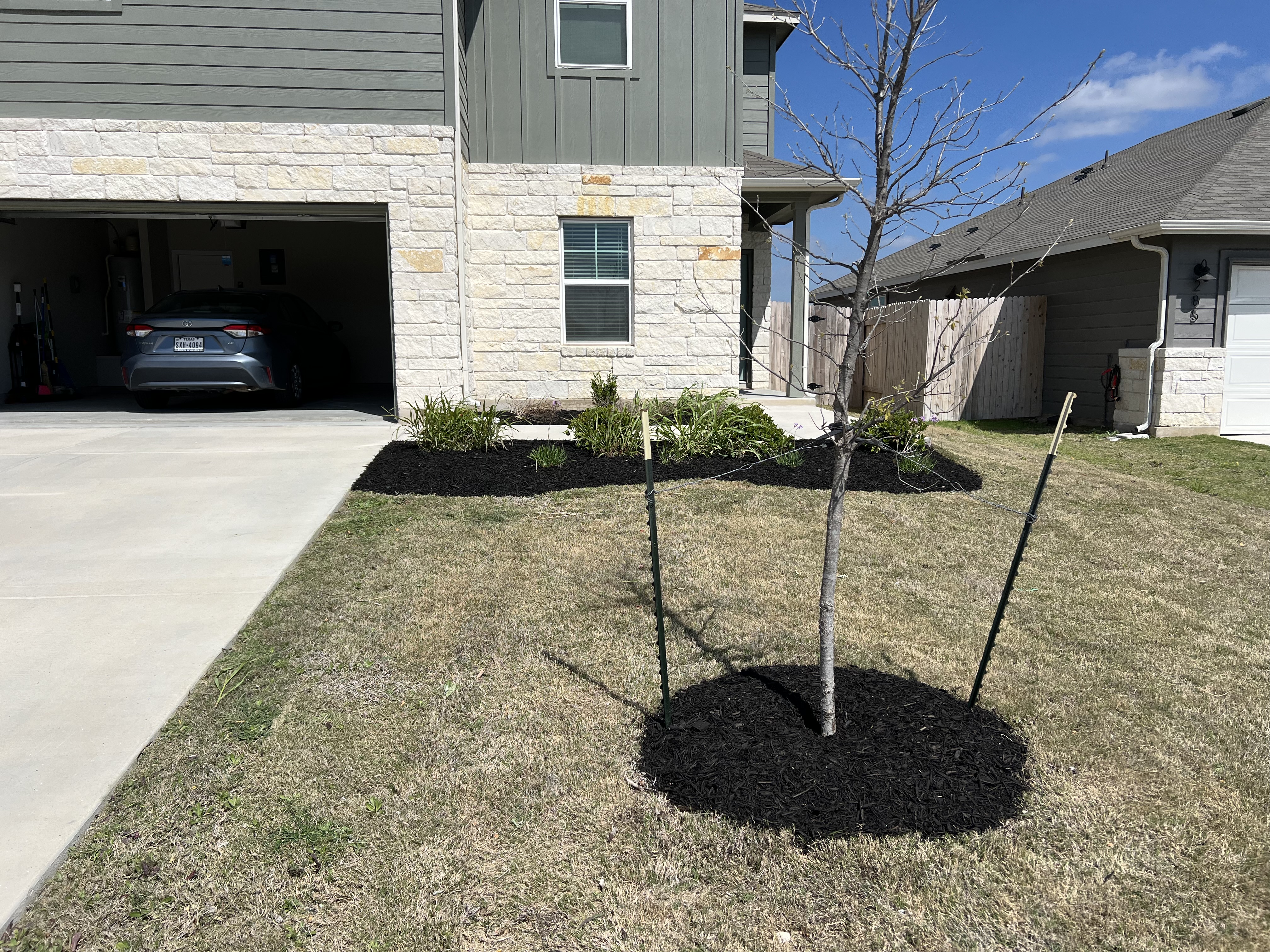 Recent lawn maintenance project.