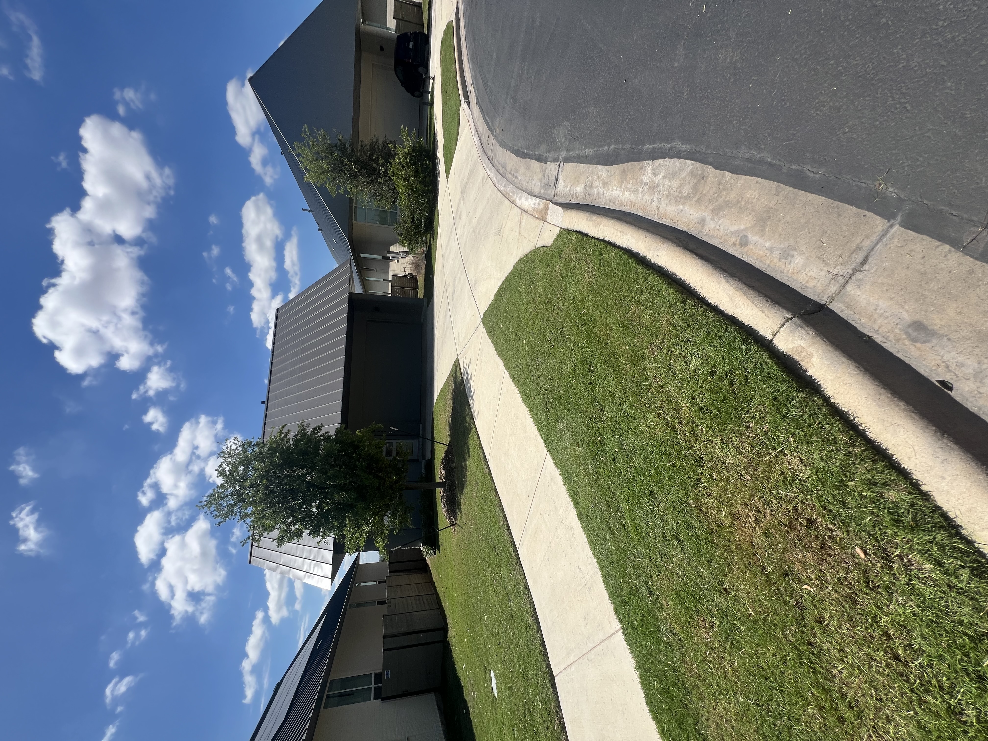 Recent lawn maintenance project.