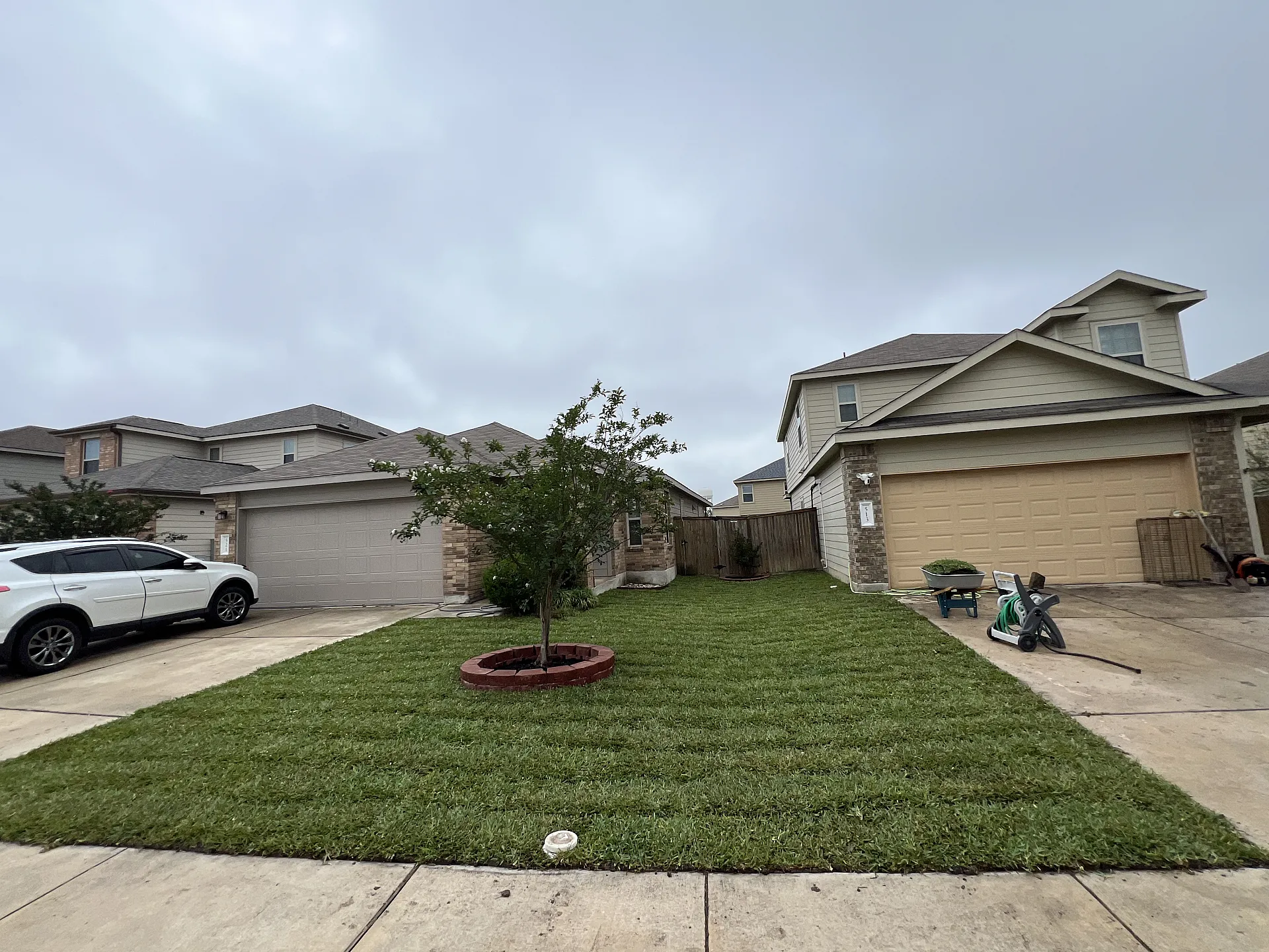 Lawn area with distinct, sharp edging and fresh cuts.