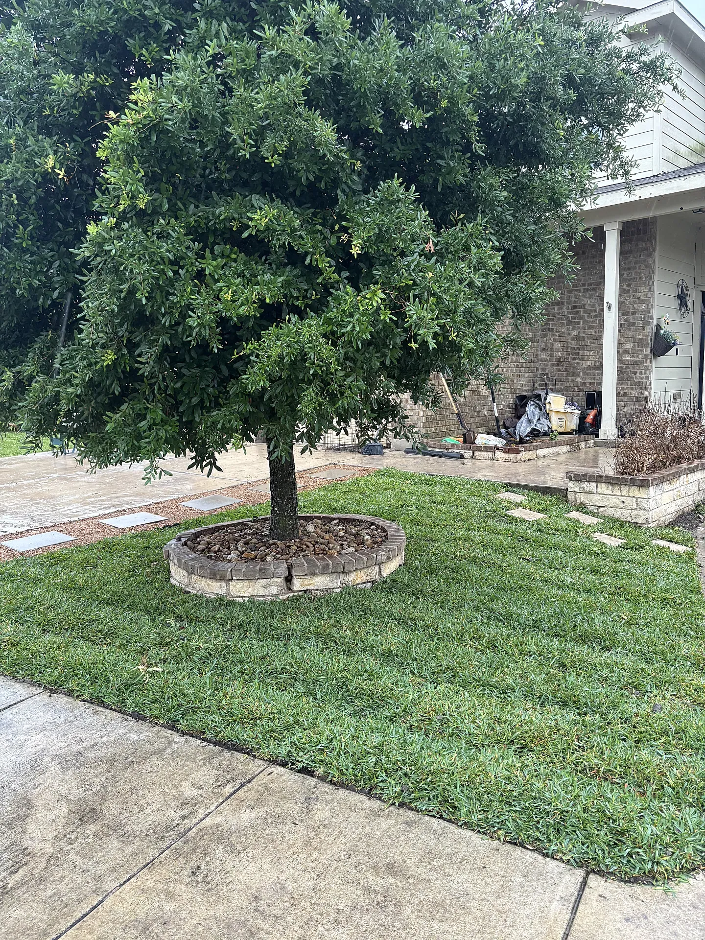 Beautifully maintained front yard with pristine green grass.
