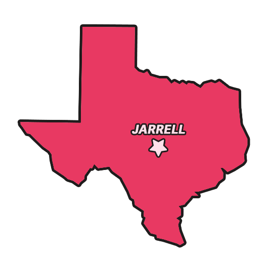 Clean and professional image of a beautifully maintained front yard.