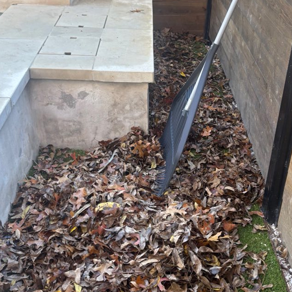 A clean, professionally maintained landscape bed with fresh mulch and trimmed shrubs.