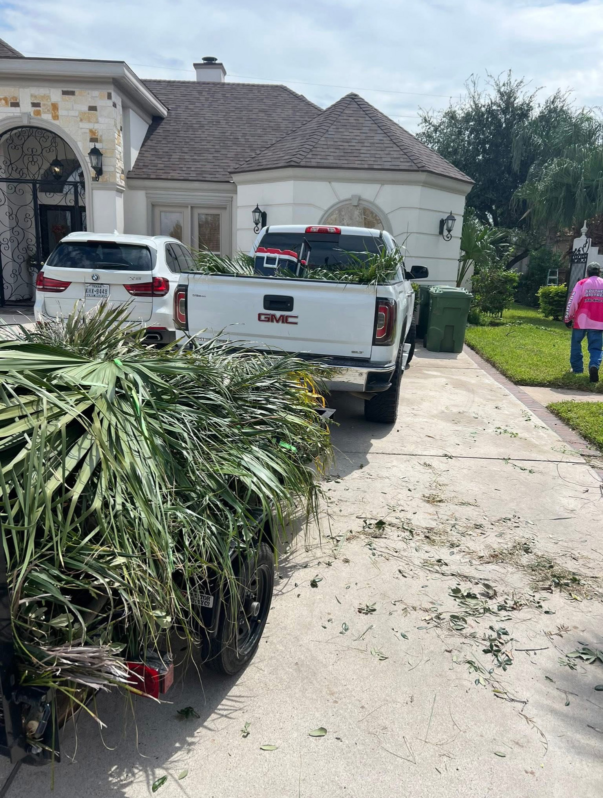 Professional tree trimming in Georgetown TX.