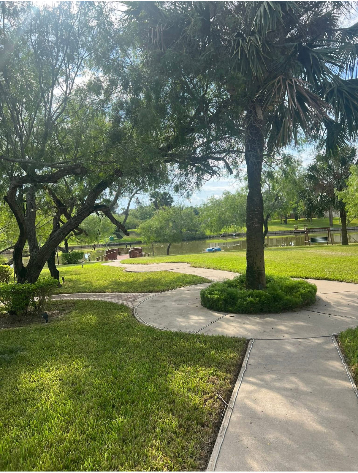 Clean yard after professional tree service.