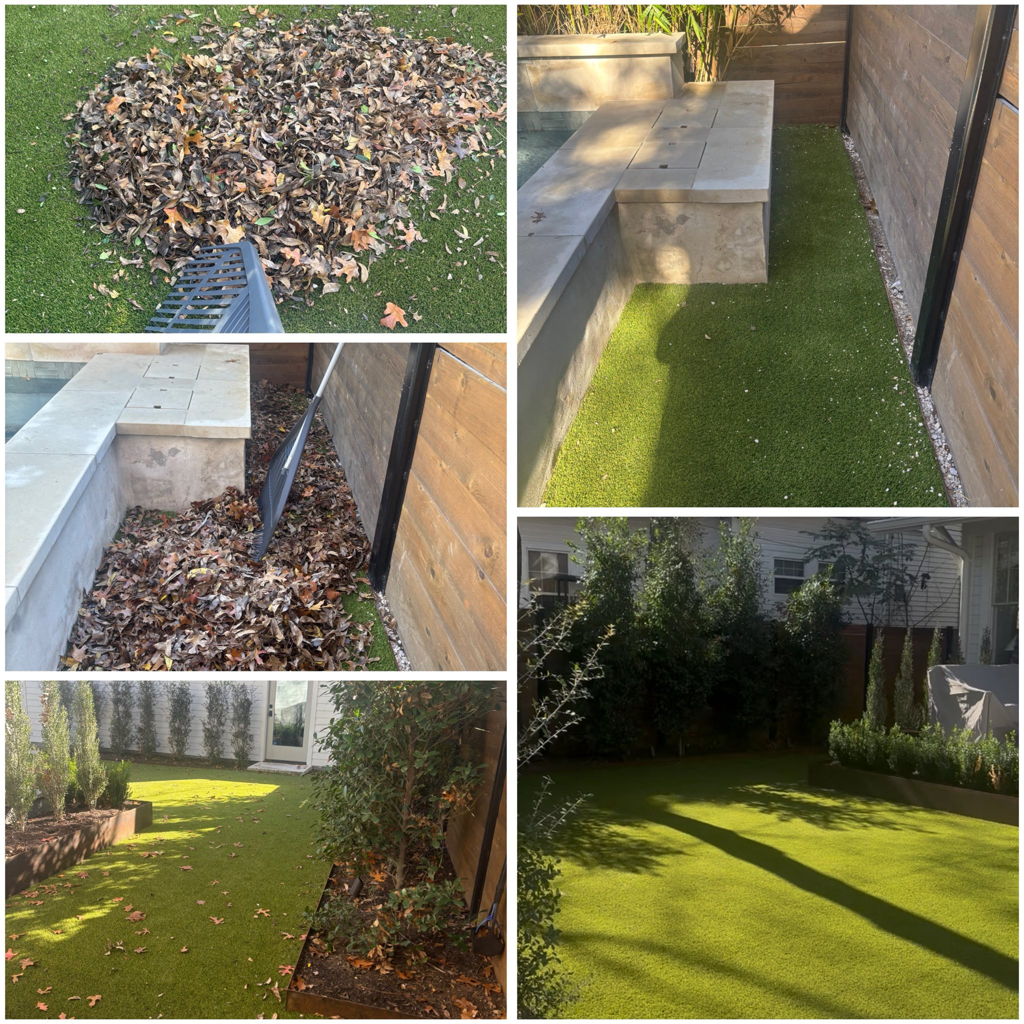 what we are booking right now image